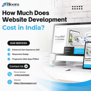 website development cost